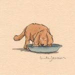 Brown puppy drinking from a bowl