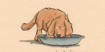 Brown puppy drinking from a bowl