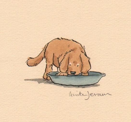 Vintage illustrated Books for Children