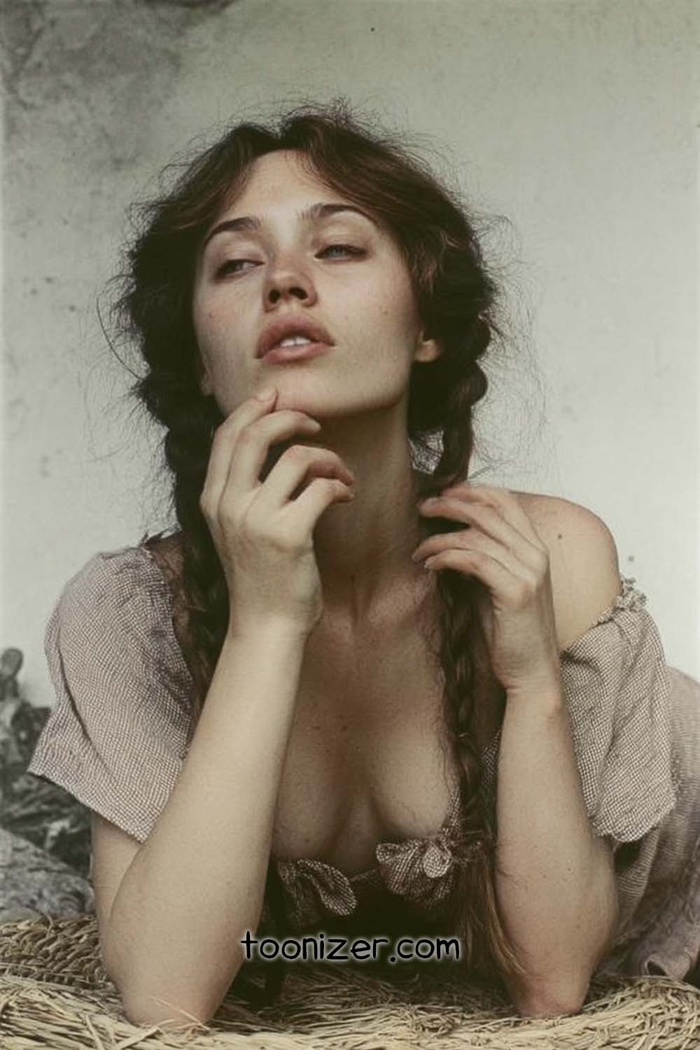 Woman with braided hair in rustic portrait